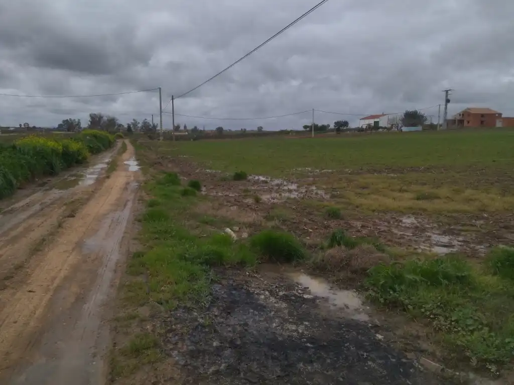 Terreno rustico in vendita a Mengabril, imagen 3