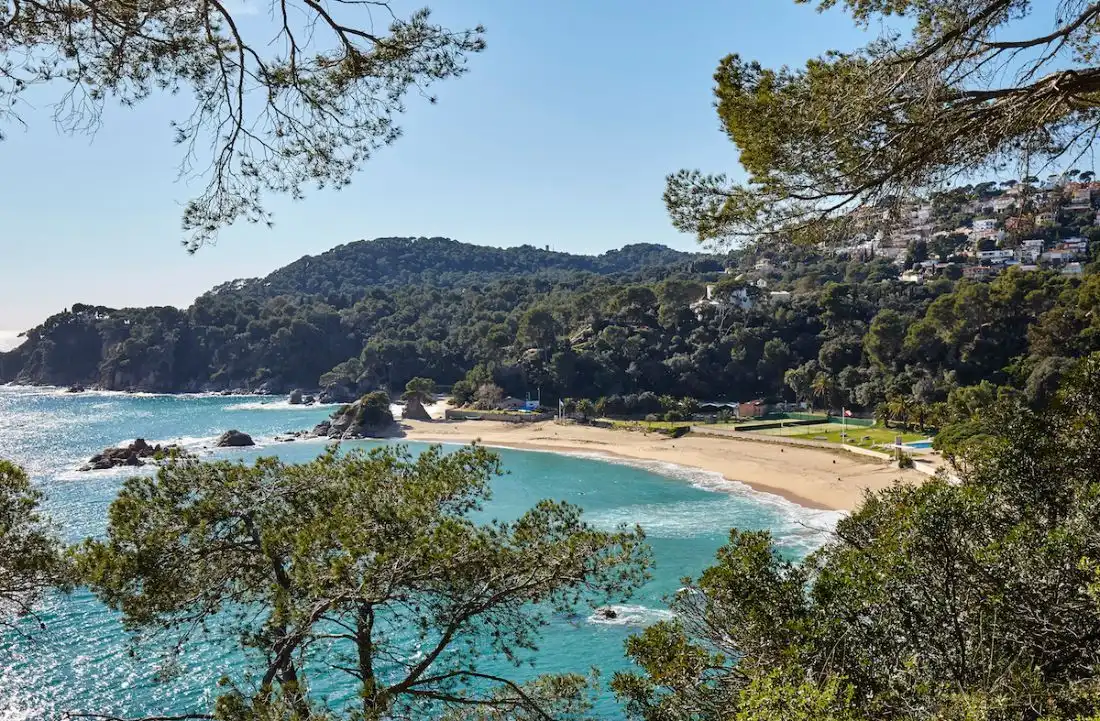 Terrenos y solares en venta en Roca Grossa, imagen 12