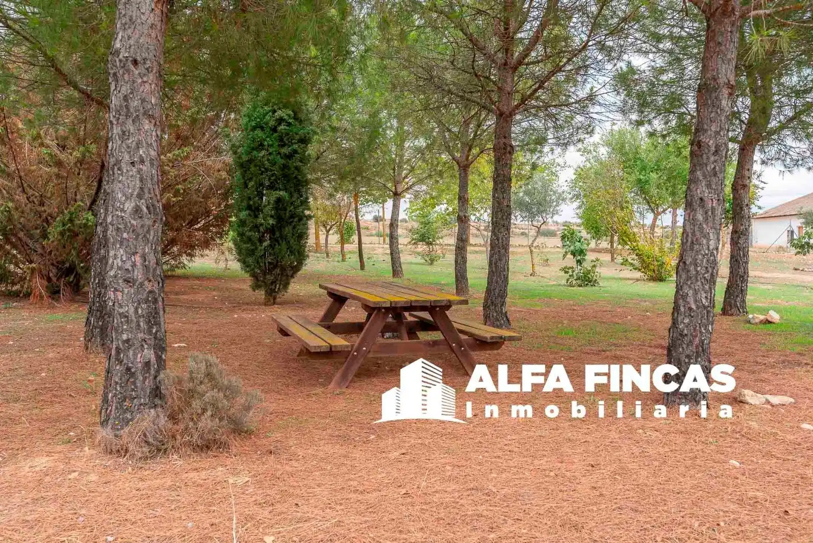 Casa o chalet en venta en Vara de Rey con Calefacción, Terraza y Piscina