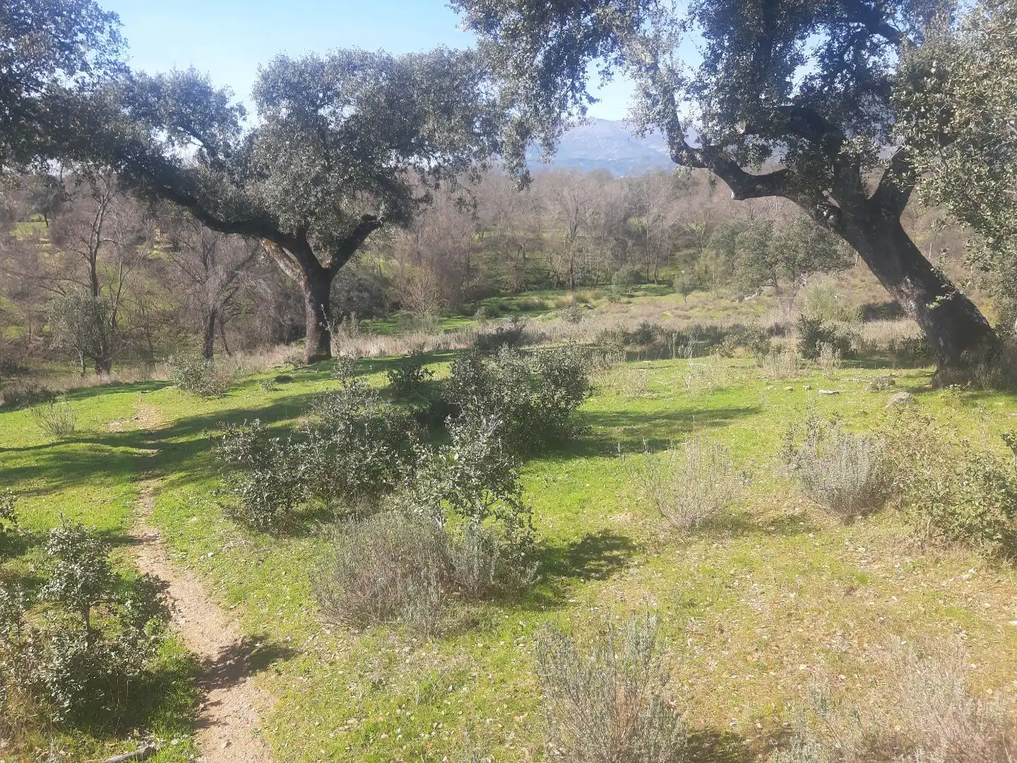 Terreno en venta en Mijares
