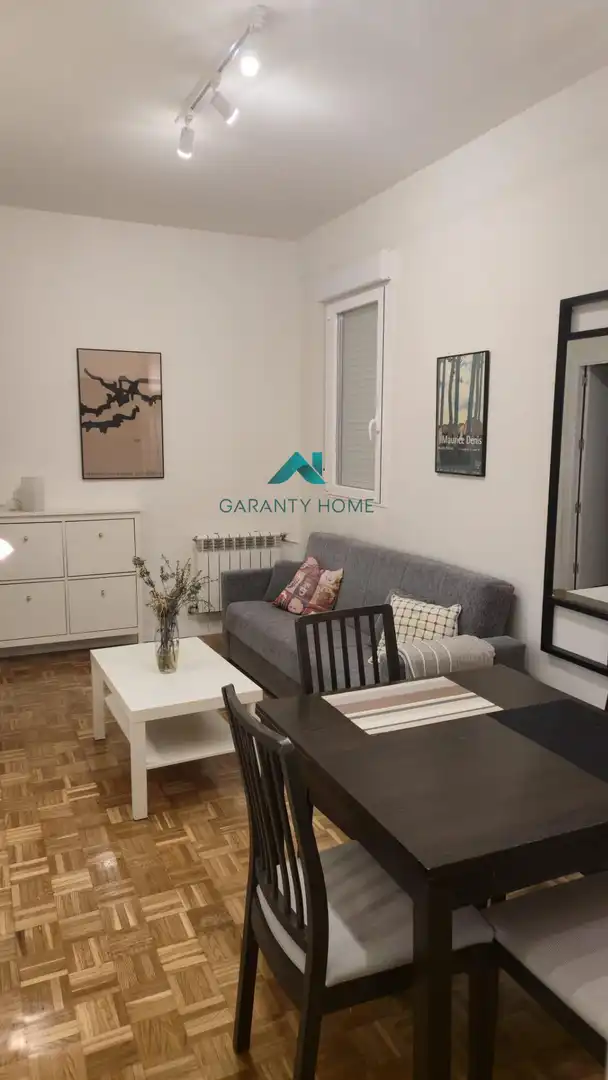 Sala de estar de Piso de alquiler en Madrid con Calefacción y Amueblado