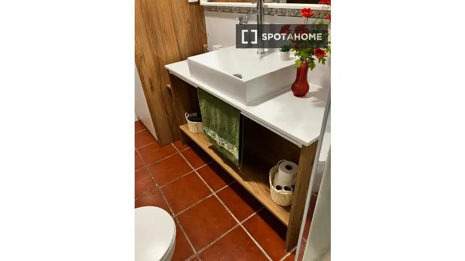 Bany de Apartament per a compartir en Madrid amb Aire condicionat, Calefacció i Terrassa