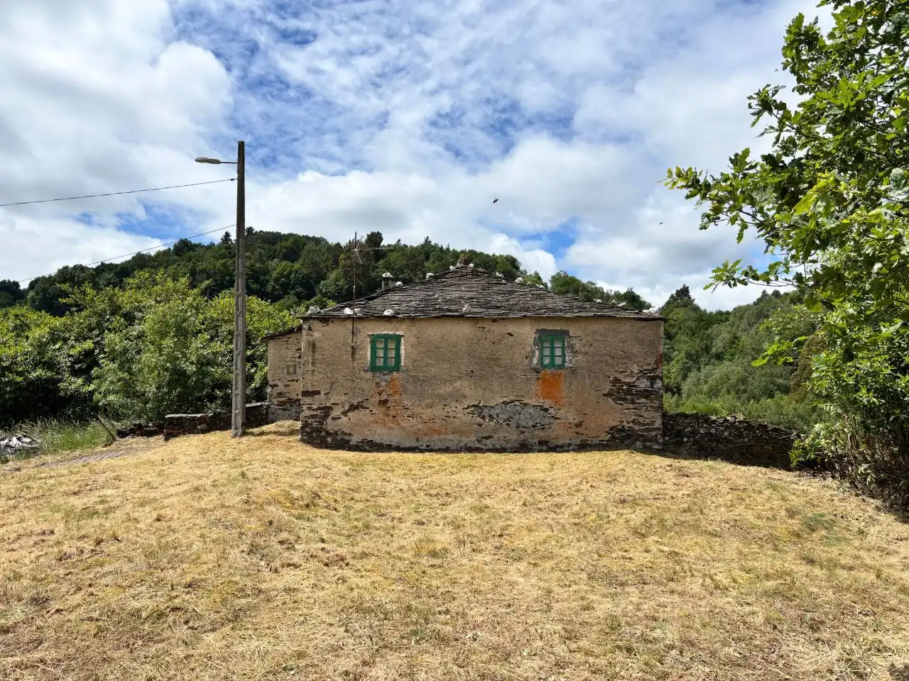 Casa amb piscina en venda a San Martín de Oscos