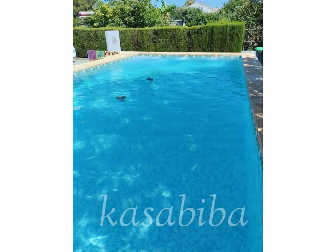 Swimming pool of Houses for sale in Marines  with Private garden, Terrace and Swimming Pool
