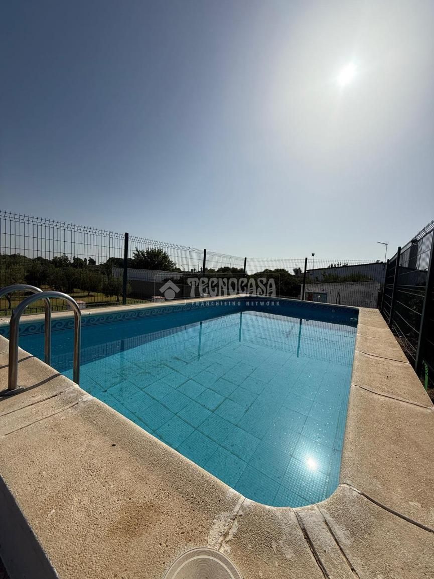 Swimming pool of Country house for sale in Utrera