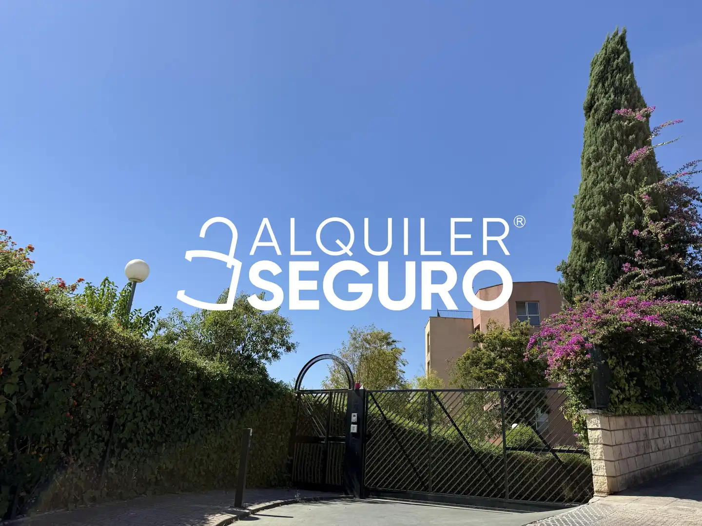Pis amb ascensor de lloguer a Escultor Freila Guevara