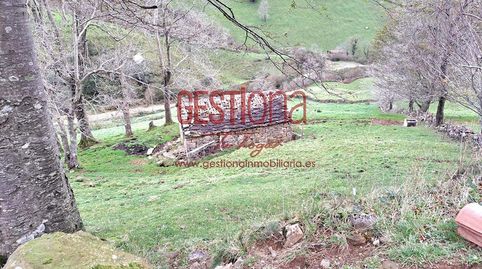CABAÑA EN SOBA. VALDICION, imagen 3