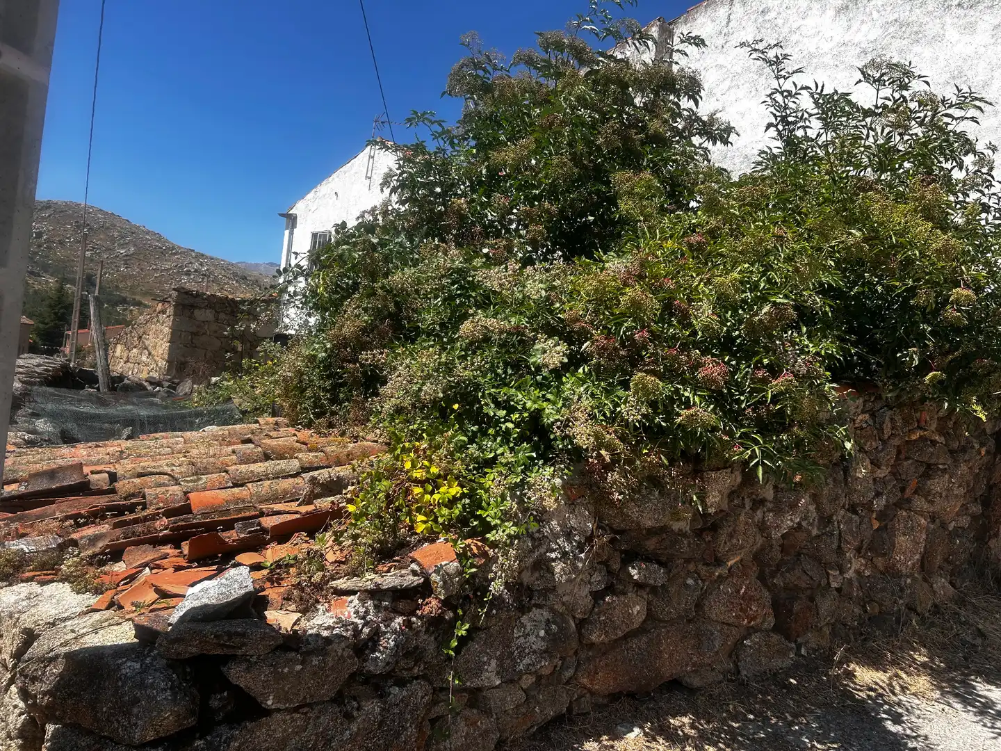 Jardí de Residencial en venda en Riofrío