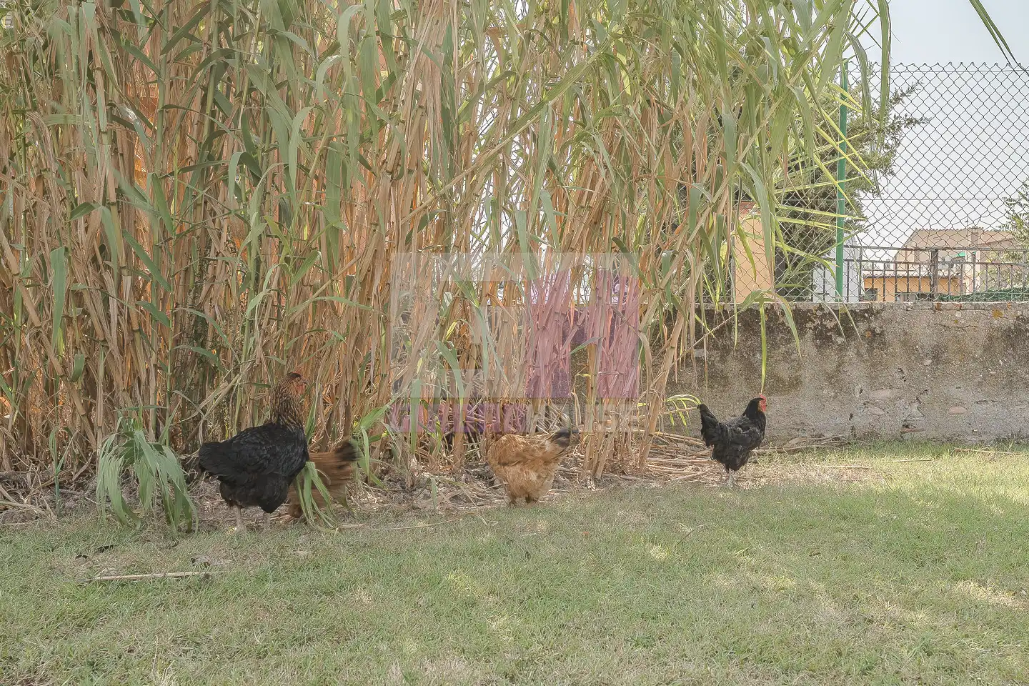 Finca rústica en venta en Cervià de Ter con Calefacción, Jardín privado y Terraza