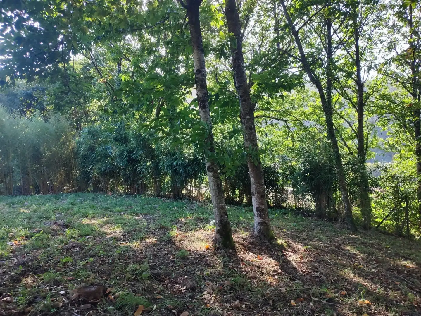Terreno residenziale in vendita a Área de Ames, imagen 22