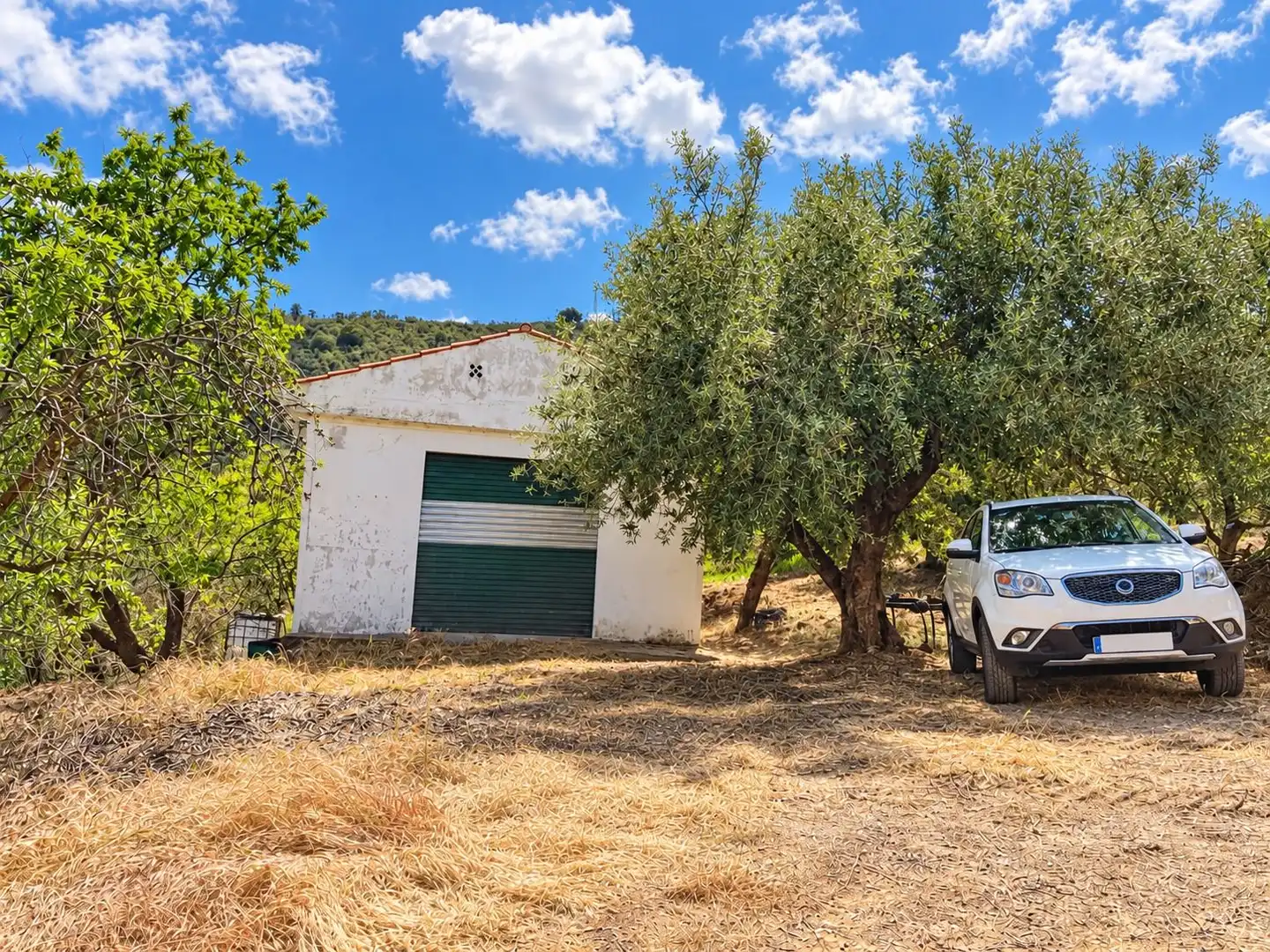 Maison rustique avec jardin à vendre à Carretera Fuente del Lobo Poligono, imagen 4