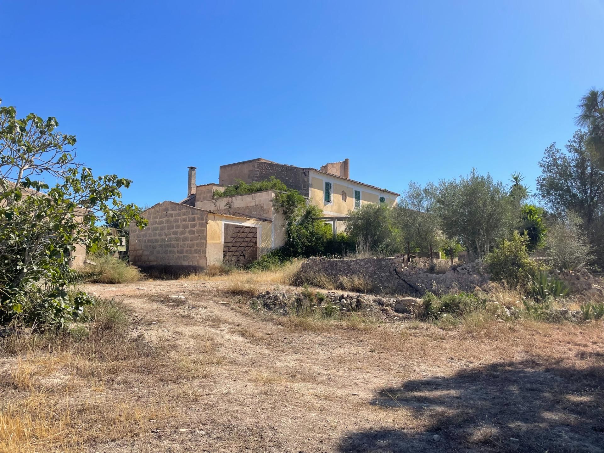 Finca rústica en venda en Petra amb Jardí privat