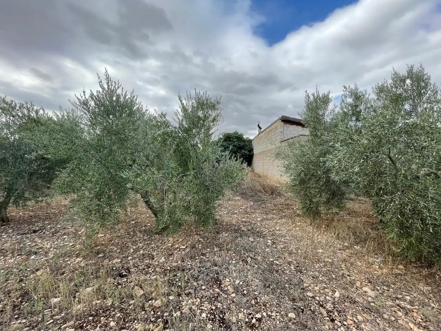 Terreni e lotti in vendita a santa catalina, imagen 4