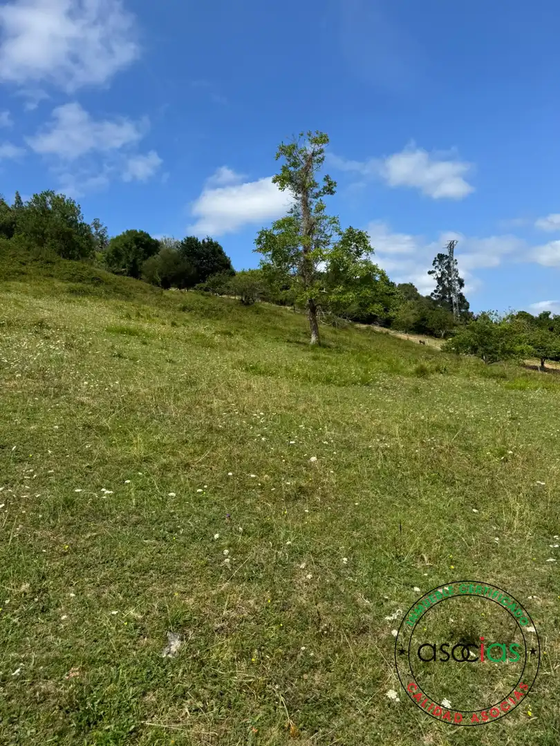 Terreny en venda en Villaviciosa