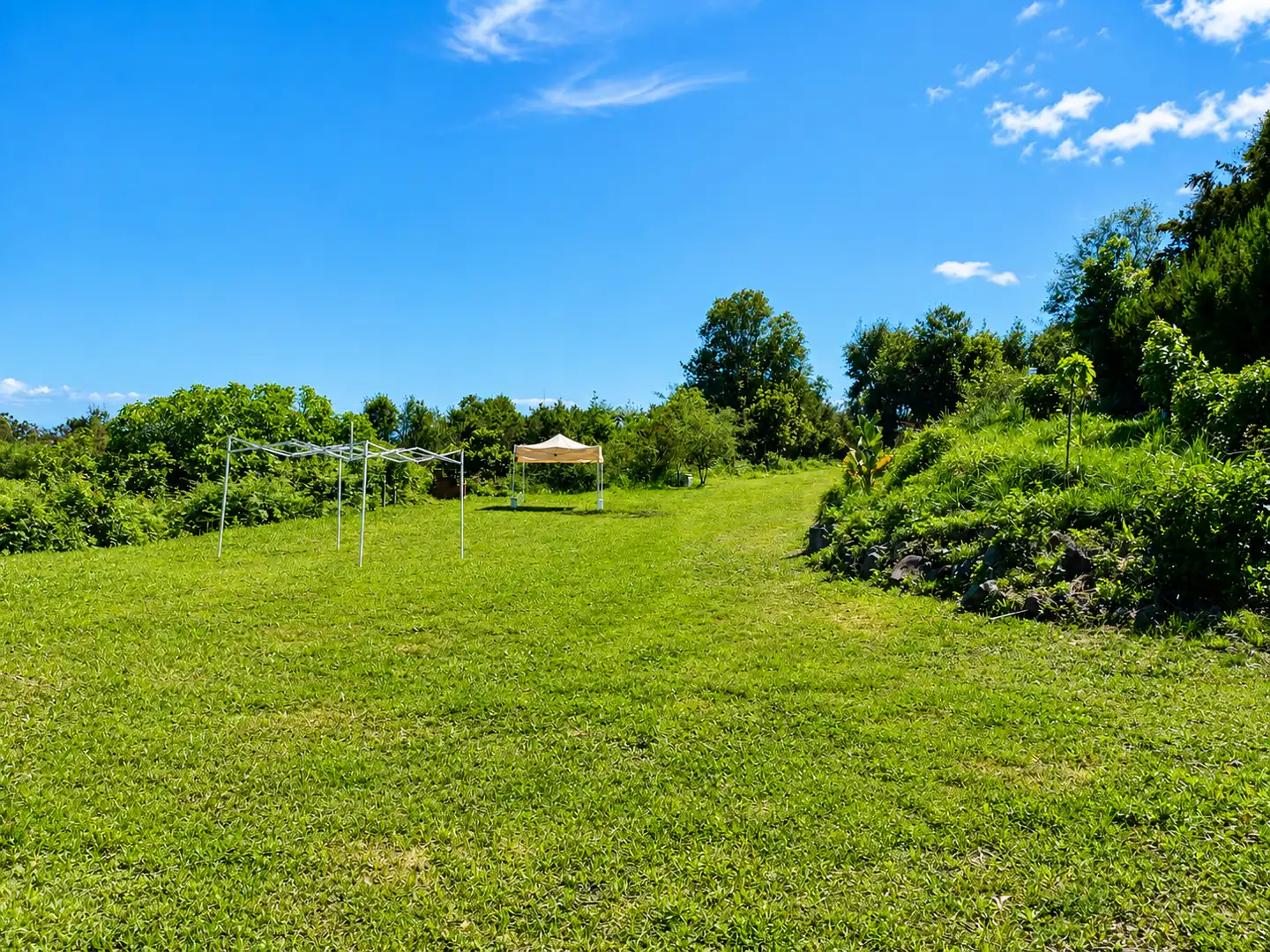 Land for sale in El Tanque