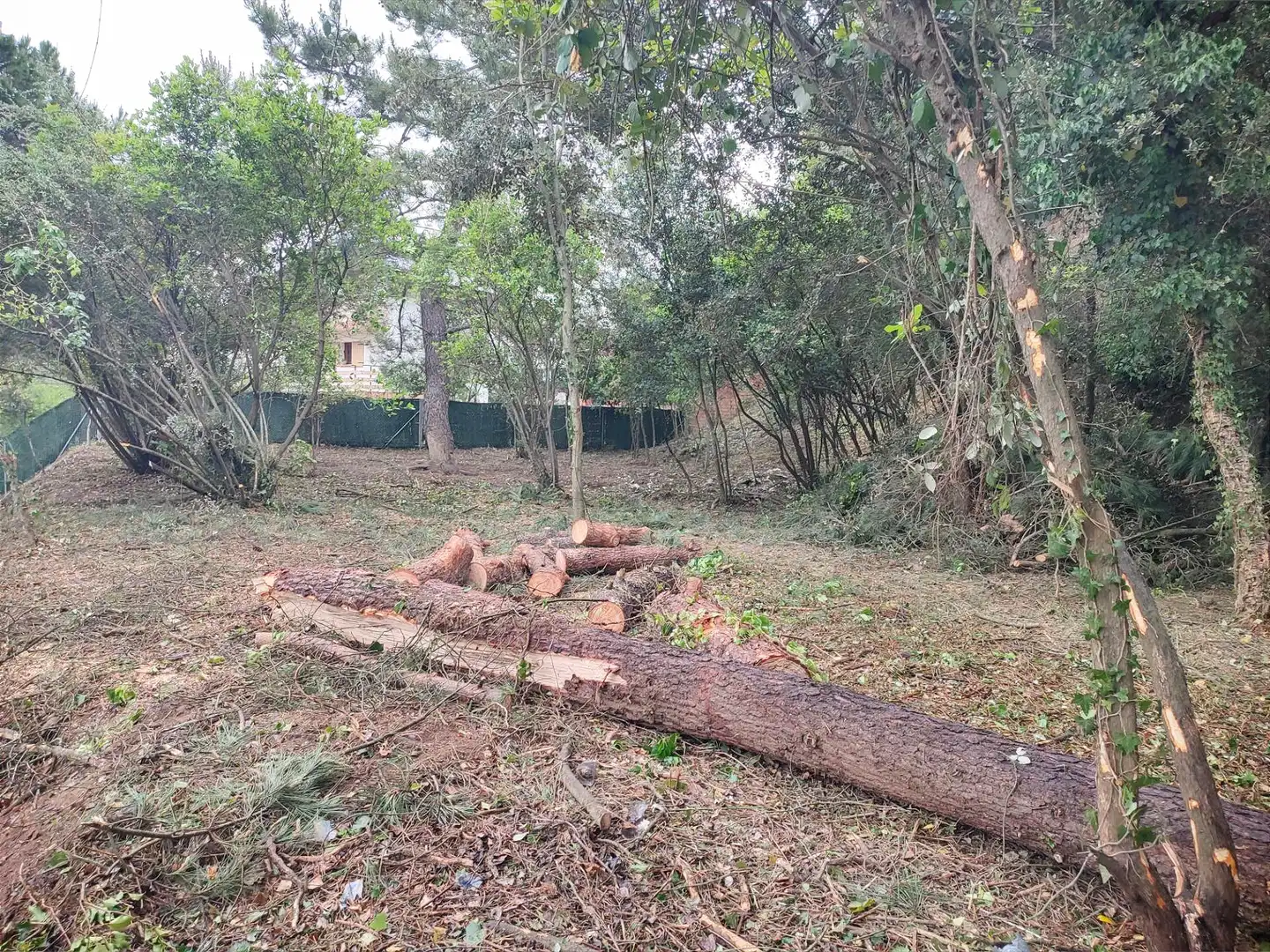 Residential for sale in Vallgorguina