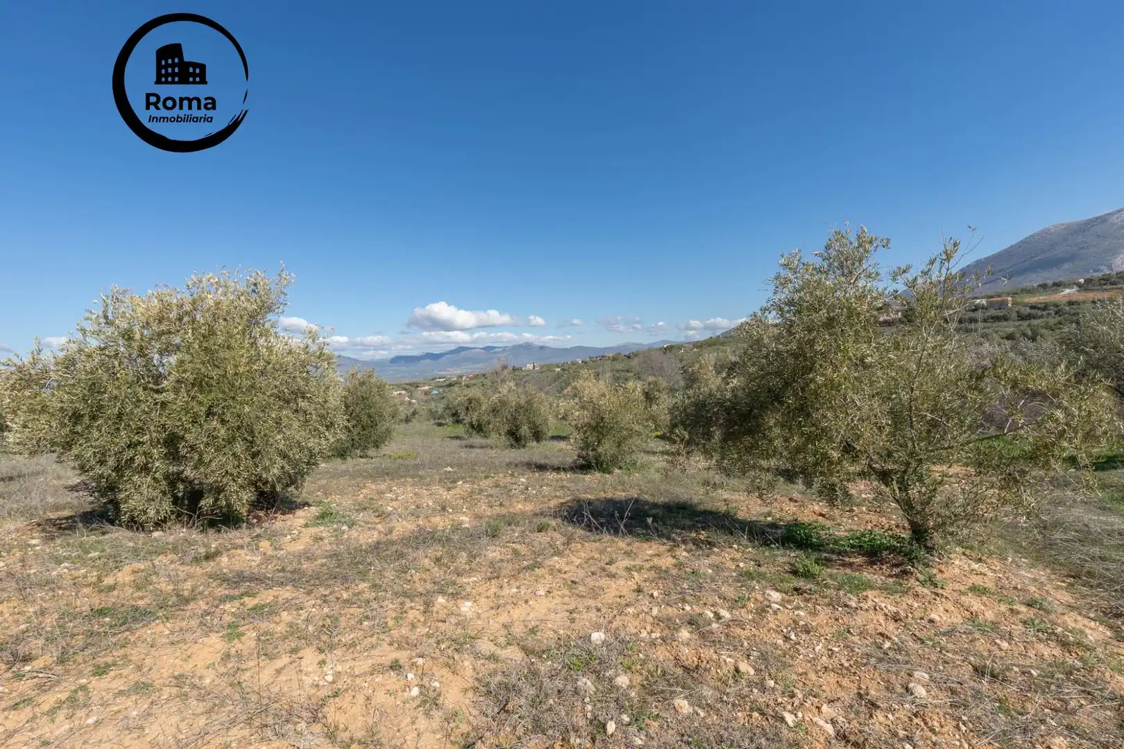Terreni e lotti in vendita a Cogollos de la Vega, imagen 15