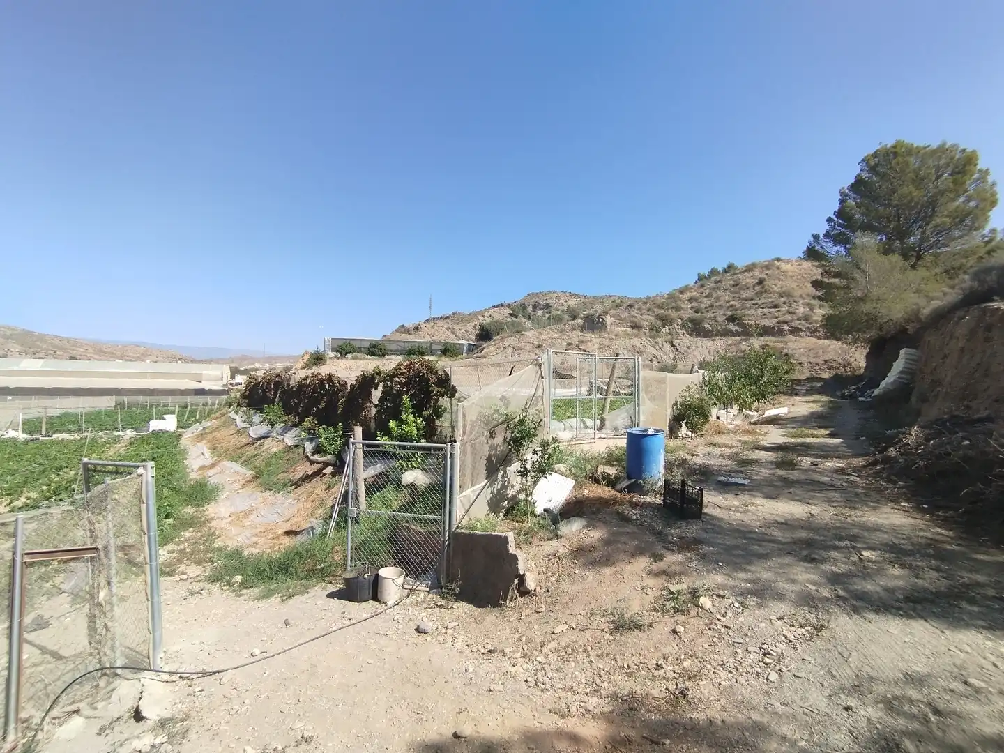 Terreno rustico in vendita a Santa Fe de Mondújar, imagen 4