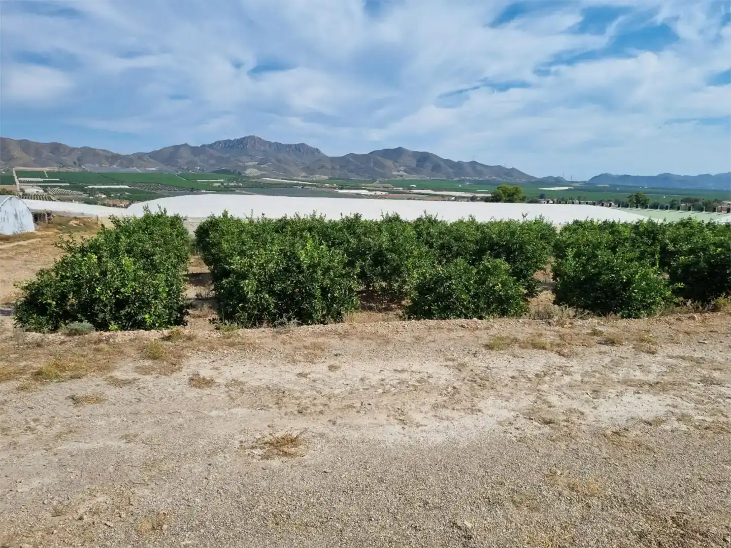 Finca rústica en venda en Lorca amb Moblat
