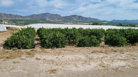 Foto 4 de Finca rústica en venda a Diseminado Almendricos, 2, Pozo Higuera, Lorca