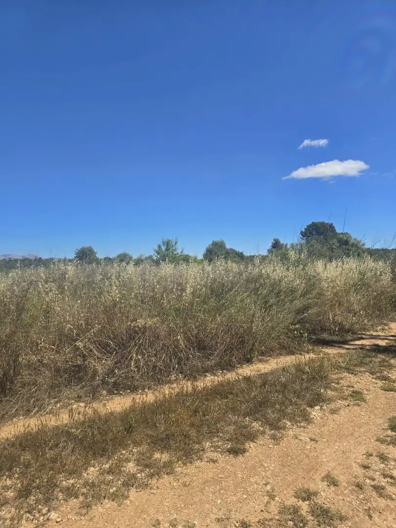 Finca rústica en venda en Marratxí amb Terrassa