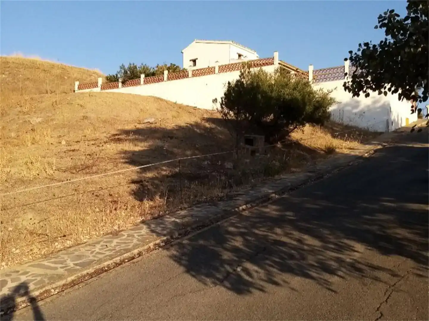Land for sale in Algámitas