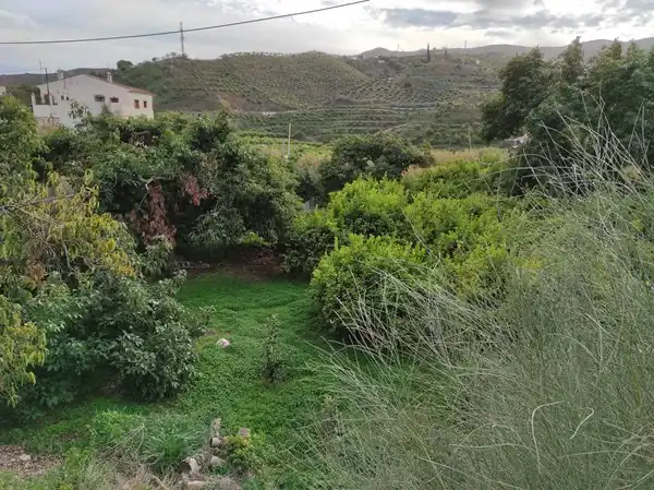 Terreno con Limoneros en Benamargosa, imagen 3