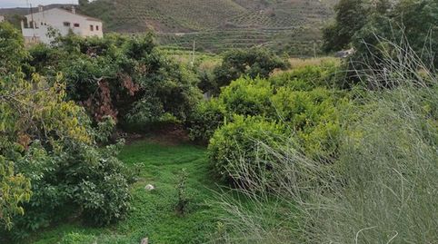 Terreno con Limoneros en Benamargosa, imagen 3