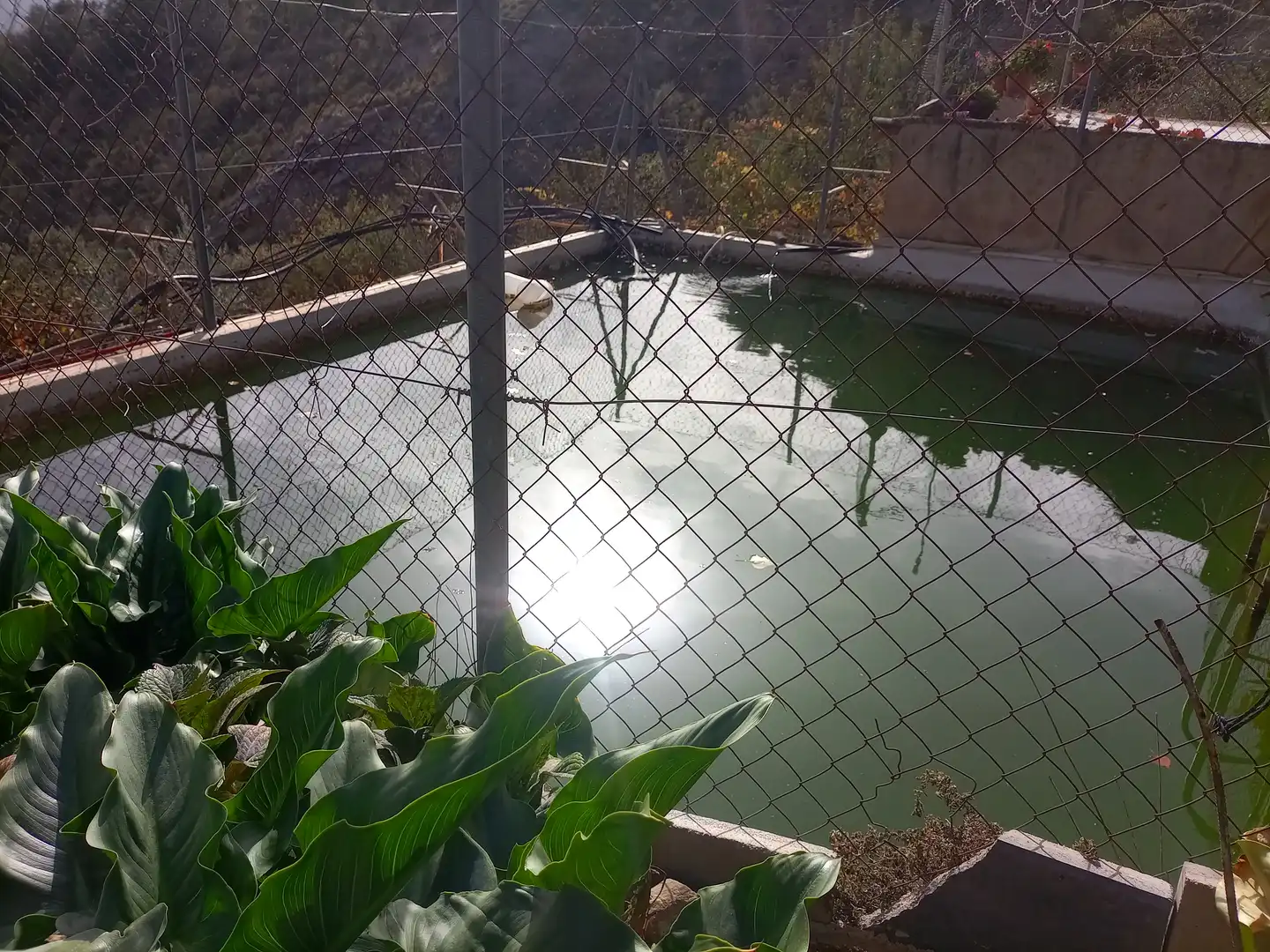 Terreny rústic en venda a Alpujarra de la Sierra, imagen 6