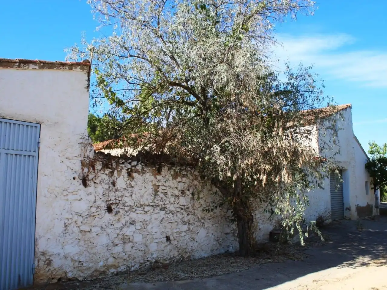 Exterior view of Country homes for sale in Enguera