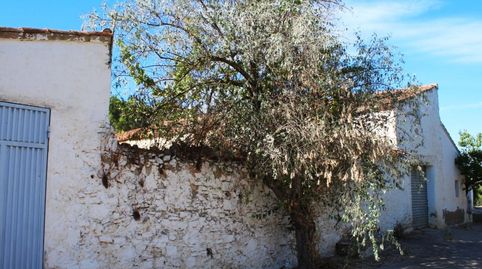Foto 5 de Finca rústica en venta en Diseminado Diseminados, 399, Enguera, Valencia