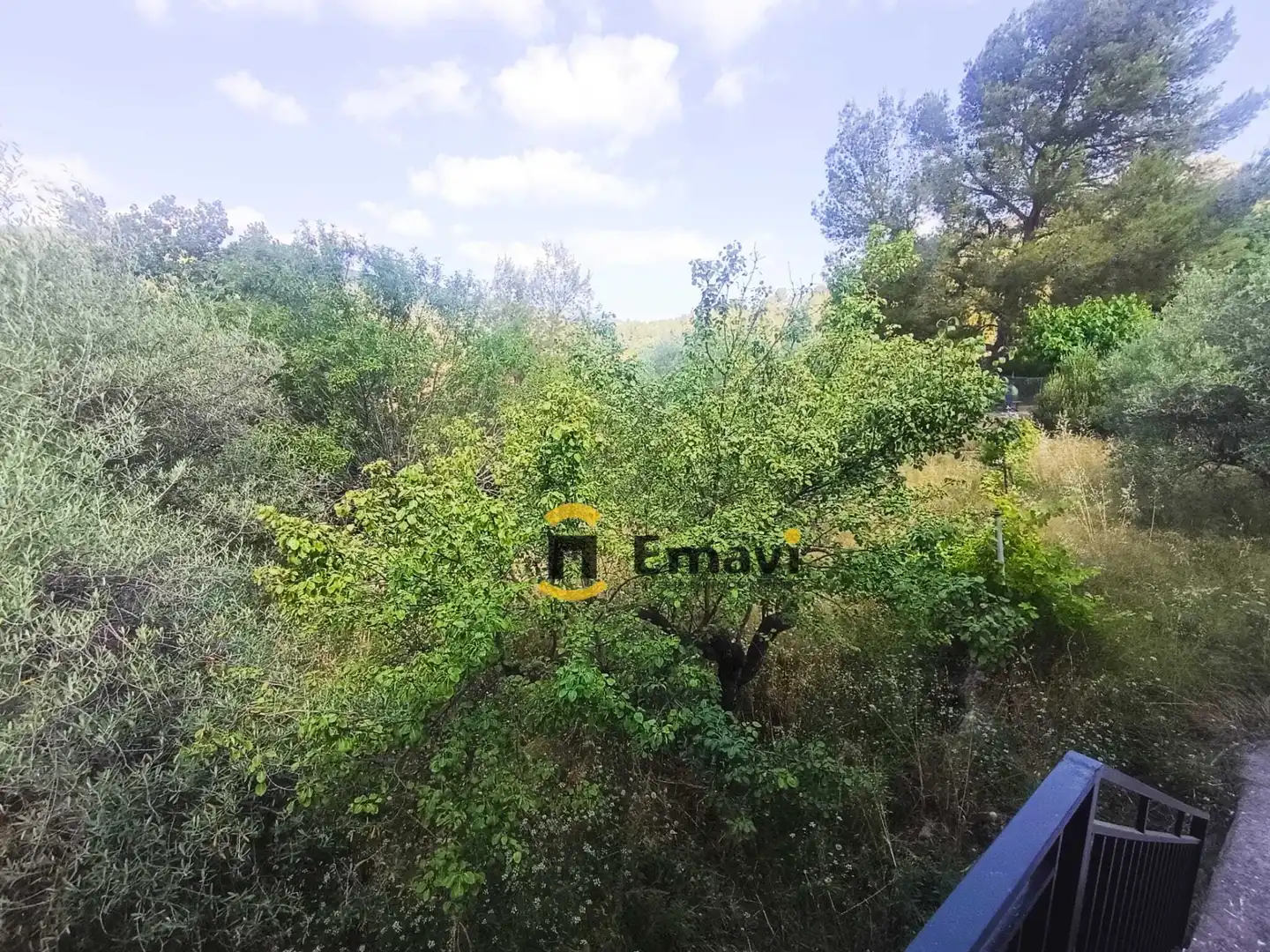 Casa o chalet en venta en Figueroles con Jardín privado y Trastero