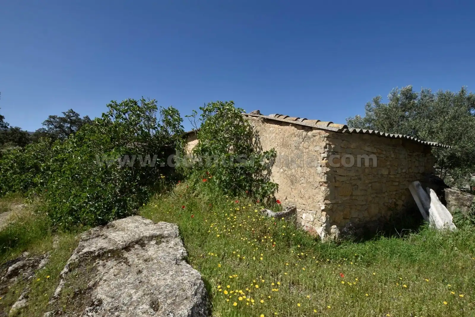 Finca rústica en venda en Ronda