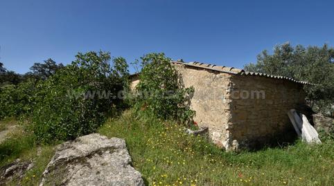 Foto 4 de Finca rústica en venda a Partidas Norte, Ronda