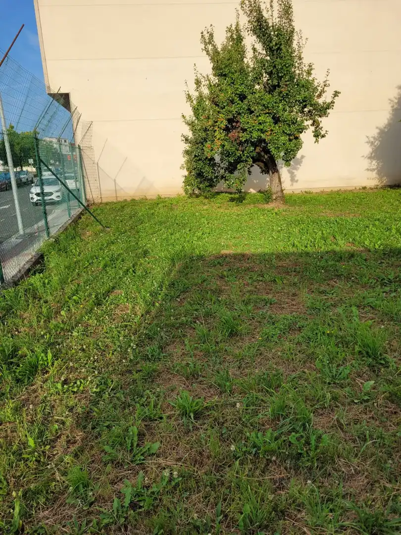 Terreni e lotti in vendita a A Gándara, imagen 9