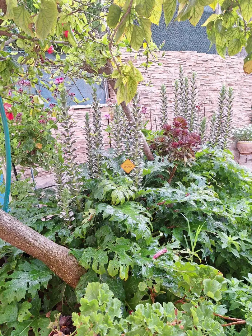 Jardí de Casa o xalet en venda en Paterna amb Aire condicionat, Calefacció i Jardí privat