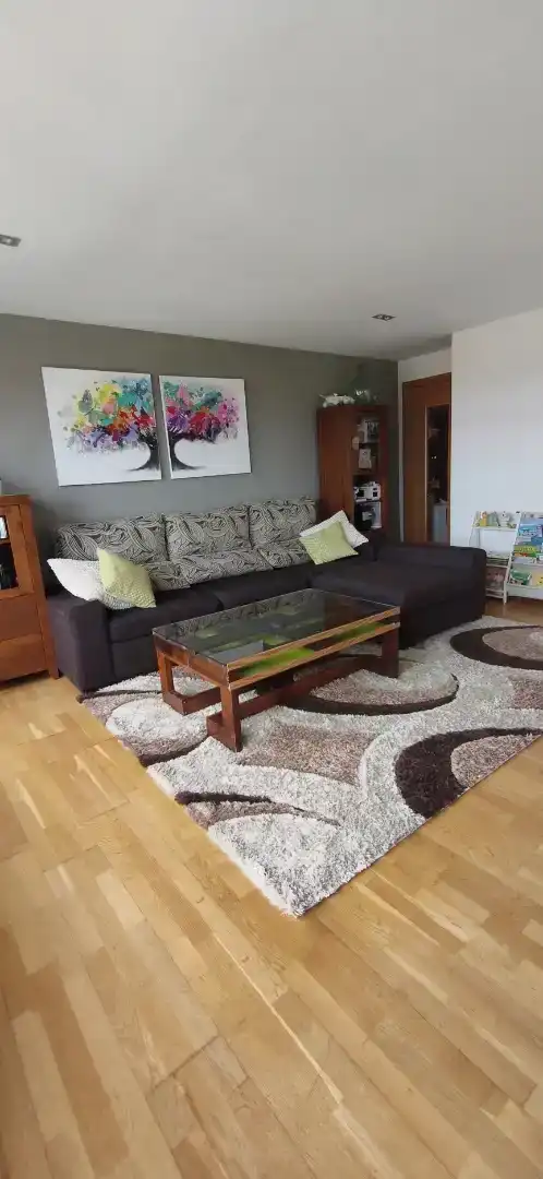 Living room of Flat for sale in Boqueixón  with Parquet flooring, Storage room and Furnished