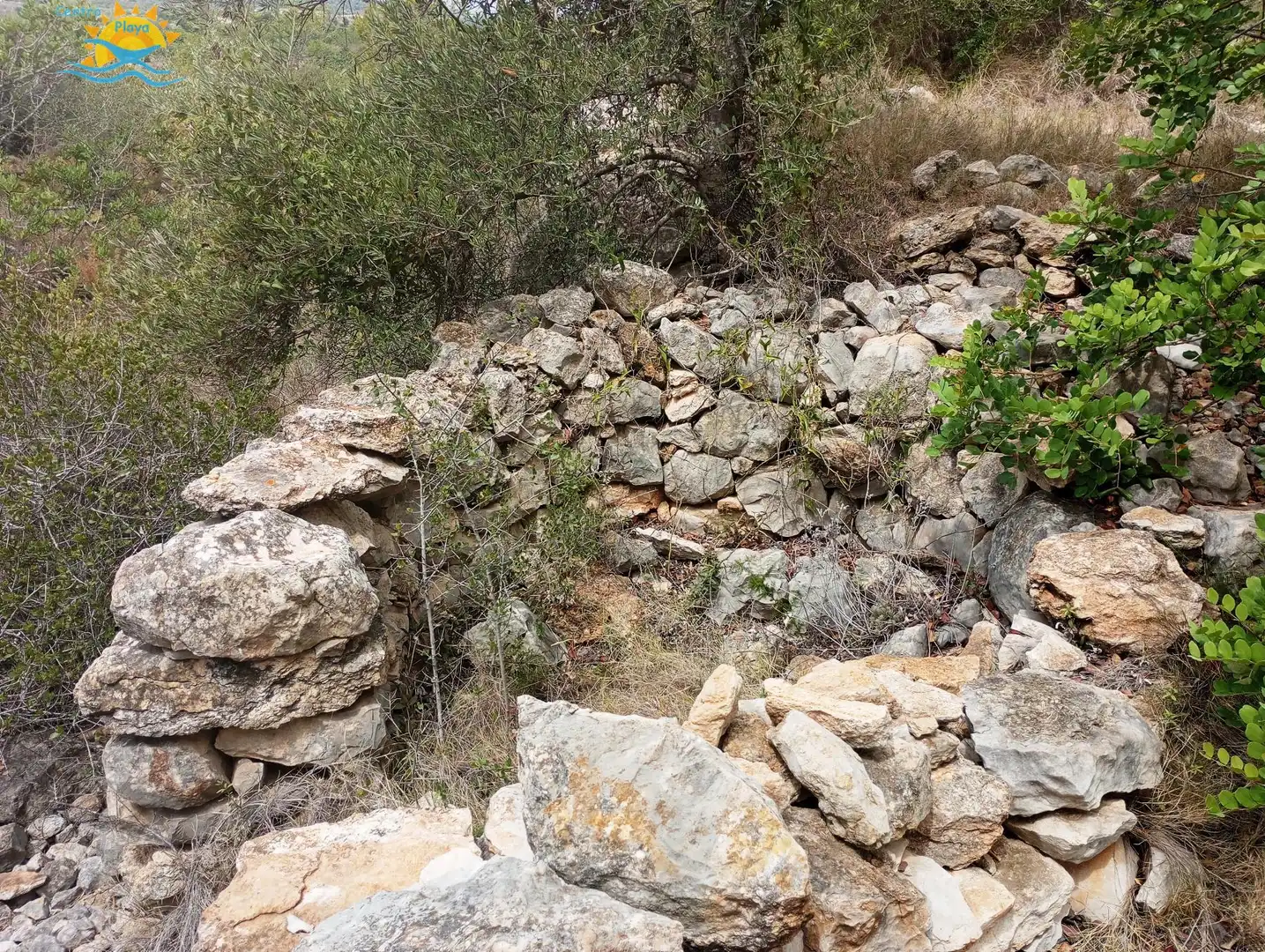 Maison rustique à vendre à CALIG CASTELLON 12589, imagen 6