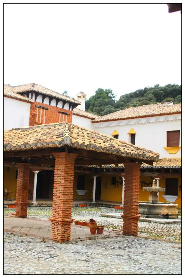 Inmuebles singulares con ascensor en venta en Diezma, imagen 95