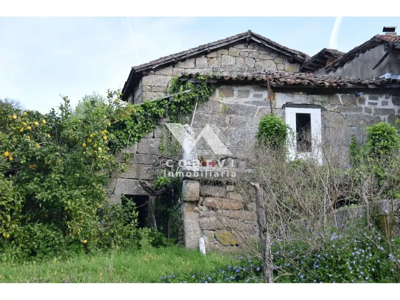 Vista exterior de Casa o chalet en venta en Coles con Jardín privado y Terraza