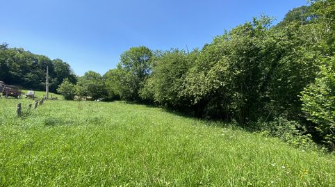 VENTA DE FINCA EN LLENIN, immagine 3