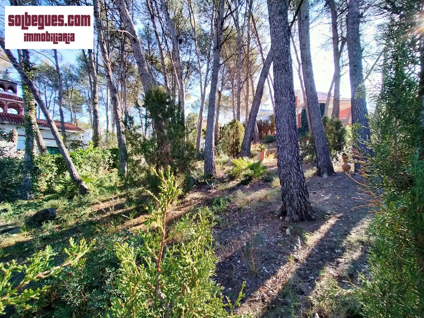 Terrenos y solares en venta en Olesa de Bonesvalls, imagen 3