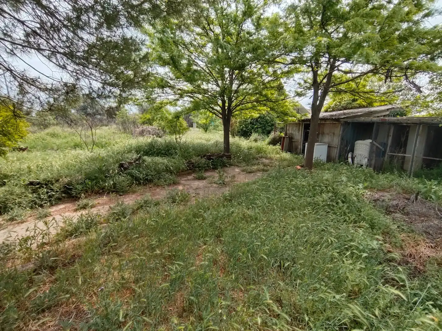 Terreno rustico in vendita a Diseminado C 302 Cr, imagen 15