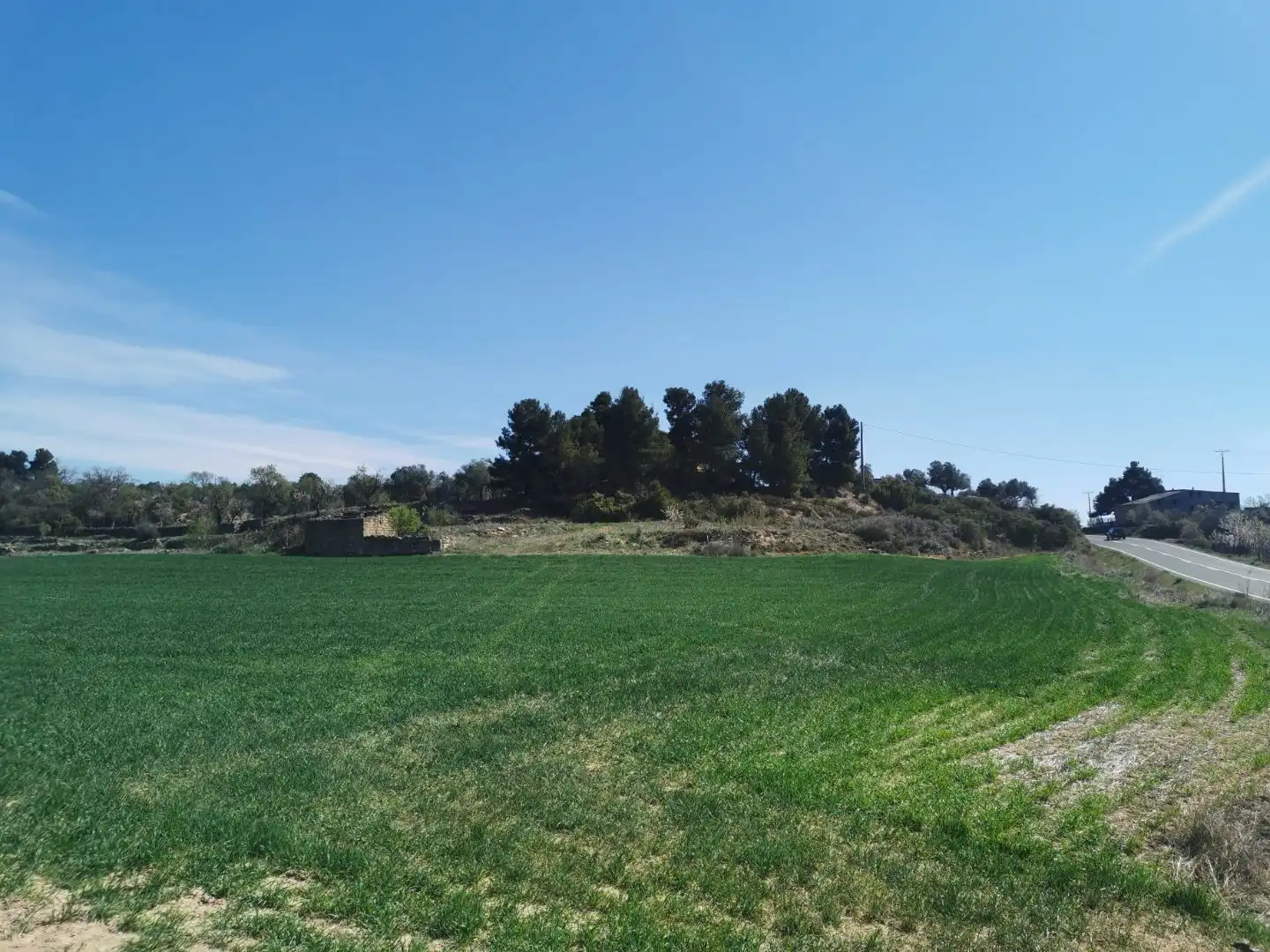 Rural land for sale in Carretera Albí 39
