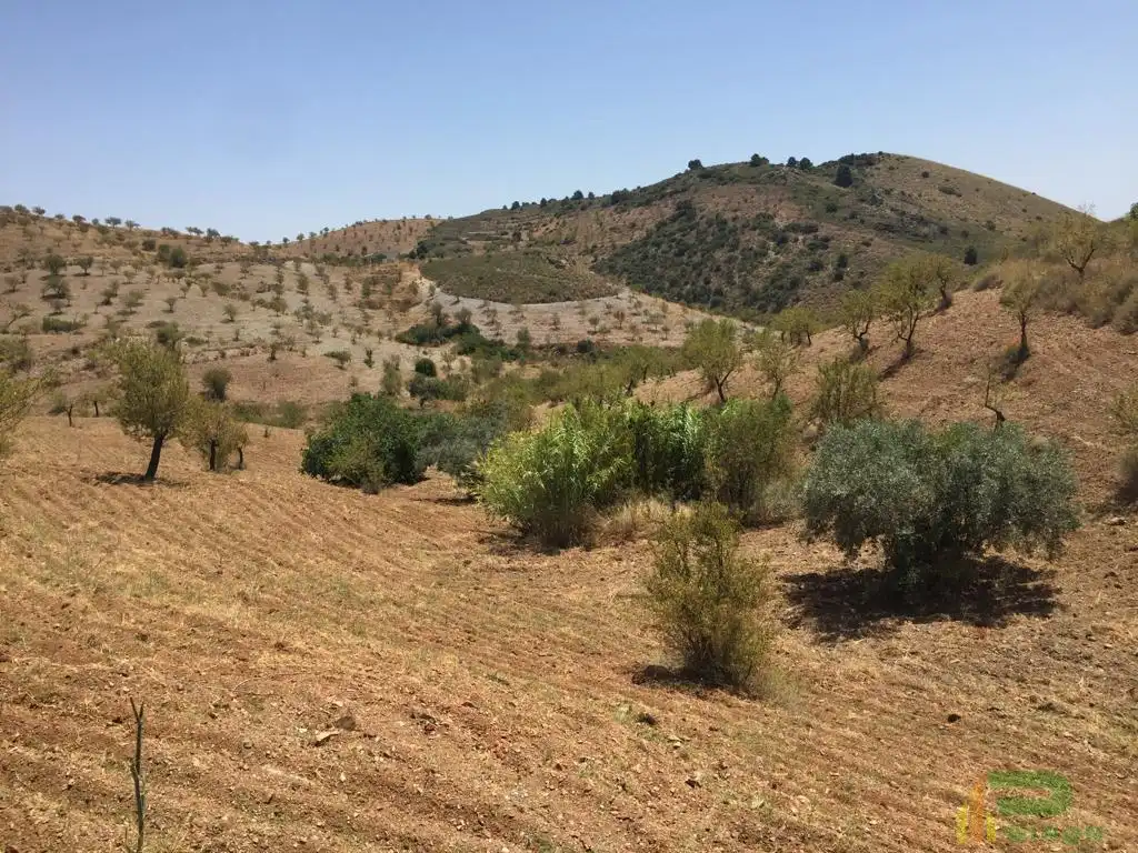 Terreni e lotti in vendita a Sierra de La Torrecilla, imagen 12
