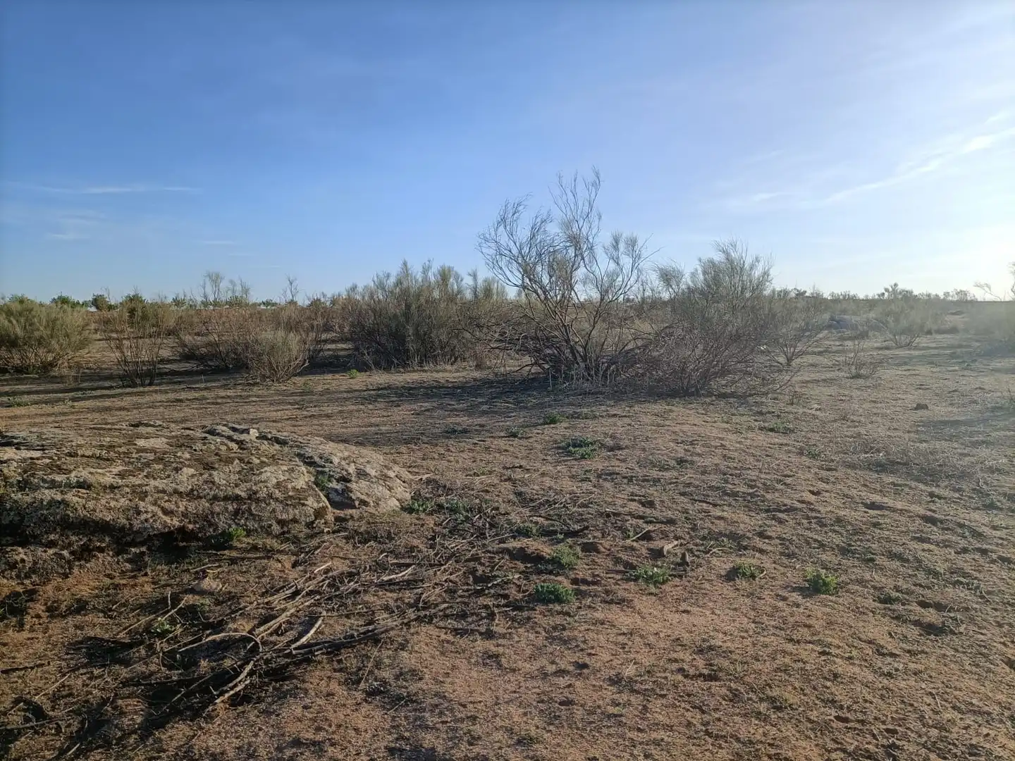 Rural land for sale in Almonacid de Toledo, imagen 6
