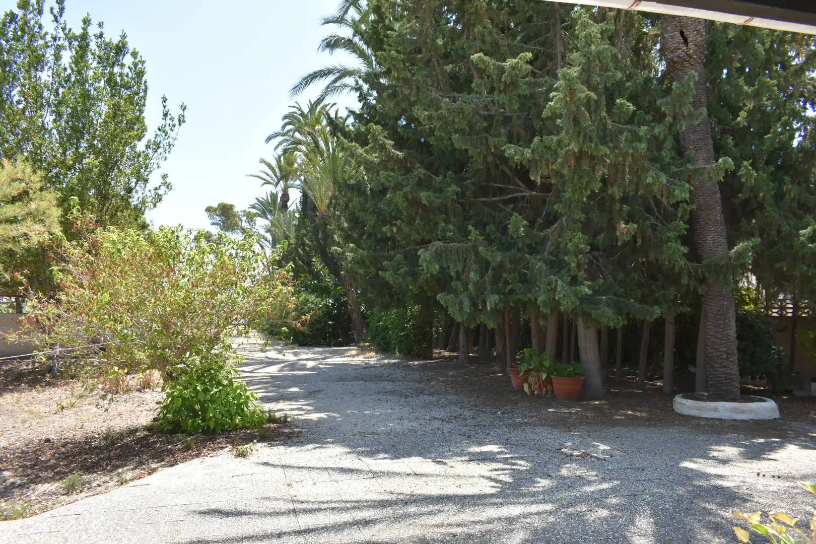 Vista exterior de Casa o chalet en venta en Elche / Elx con Jardín privado y Amueblado
