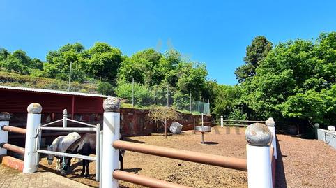 Foto 4 de Casa o chalet en venta en N/a, El Bebedero - Pinolere - Aguamansa, Santa Cruz de Tenerife