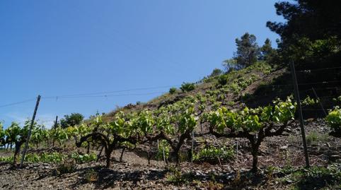 Photo 3 of Land for sale in T-710, 79, Gratallops, Tarragona