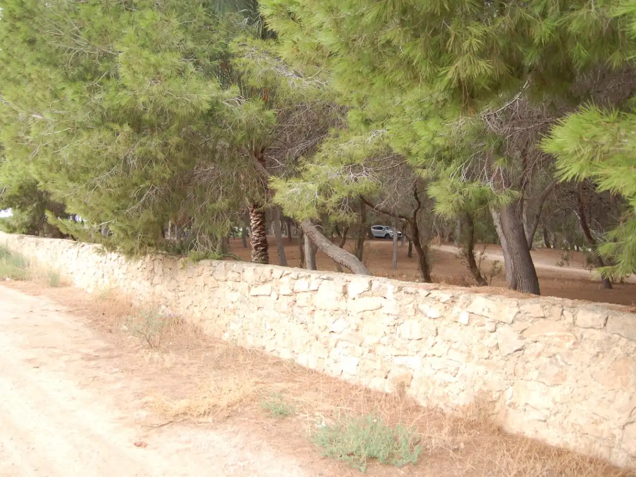 Casa rústica amb jardí en venda a vereda del cementario 264, imagen 10